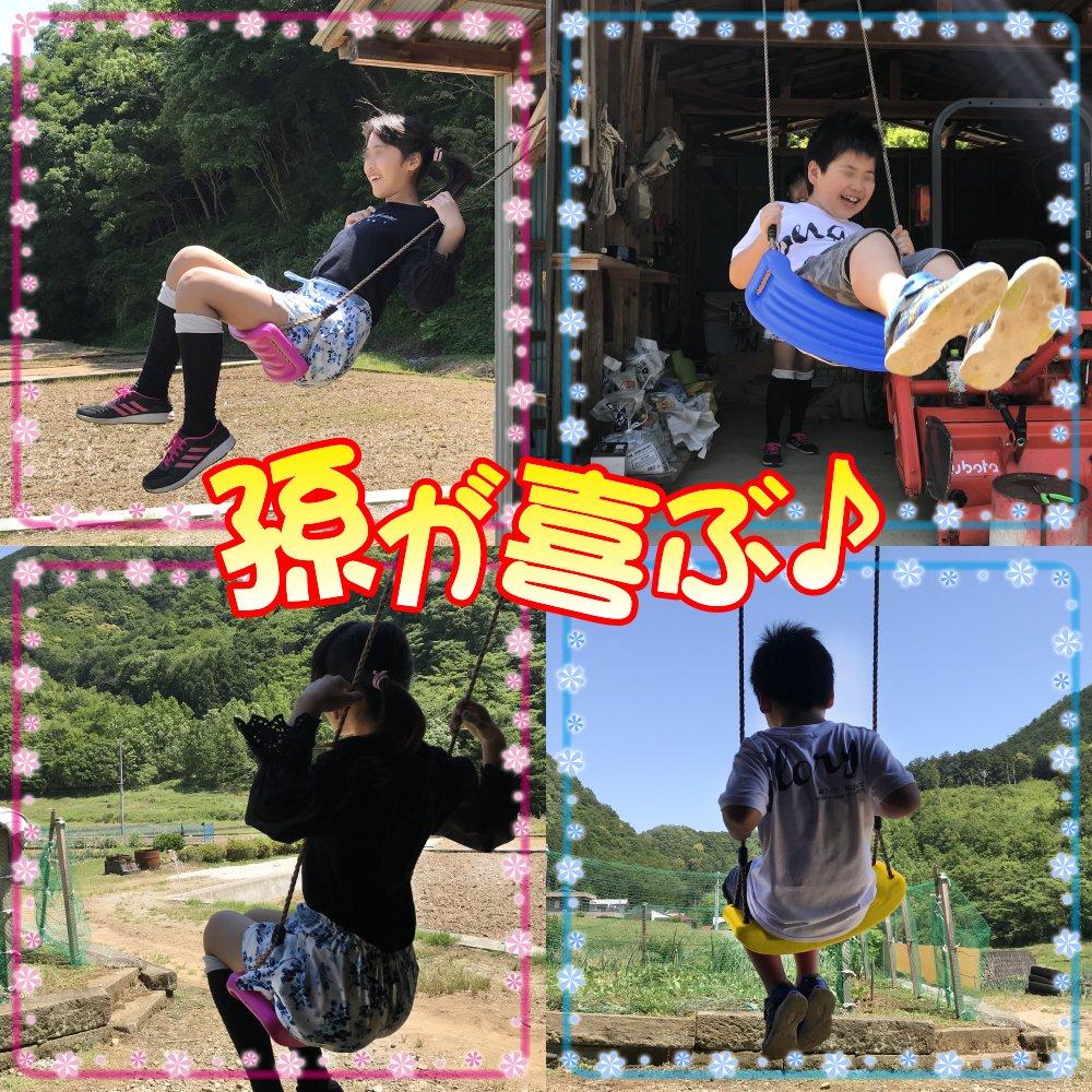 Sac Taske Kids Swing Set, Indoor/Outdoor Kids Playground Equipment, Easy Setup for Gardens, Trees, and Anywhere (Pink)