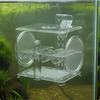 Acrylic Wall Mounted Separation Box | Adjustable Support Arm, Breeding with Mesh openings, for