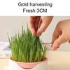 Seed Sprouter Tray Soil-Free Seedling Cat Grass Sprout Plate Hydroponic Plant Pots Pet Cat Sprout Dish Growing Pot Garden Supply
