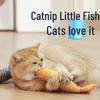 Catnip Cat Toys
