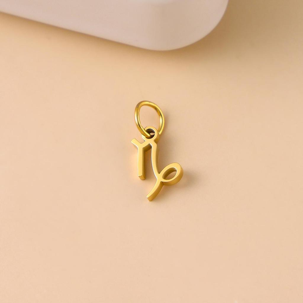 Pendentifs Colliers en Acier Inoxydable Douze Constellations – Design Élégant, Petit et Exquis