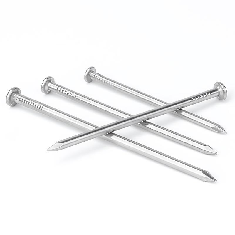 Wankajia Stainless Steel Round Nails