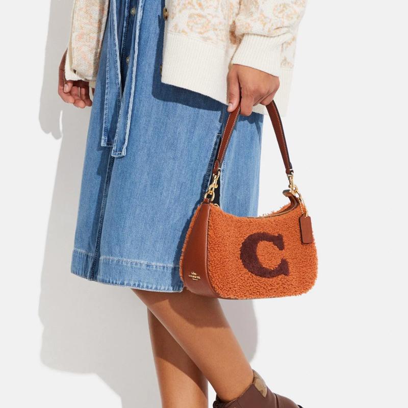 Coach Teri C Logo Plush Zipper Tote Bag Women Handbags Deep-Orange CE557-IMNOA