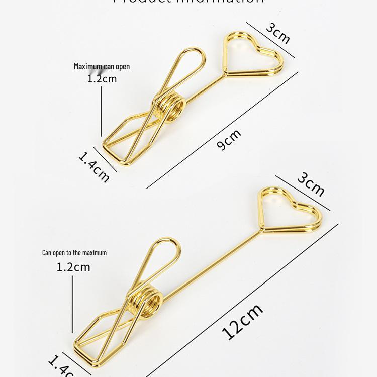 Support Clip Double Face en Acier Inoxydable pour Notes et Photos