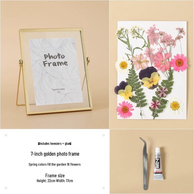 Nordic Creative DIY 3D Dried Flower Frame Kit - Simple Metal & Glass with Glue