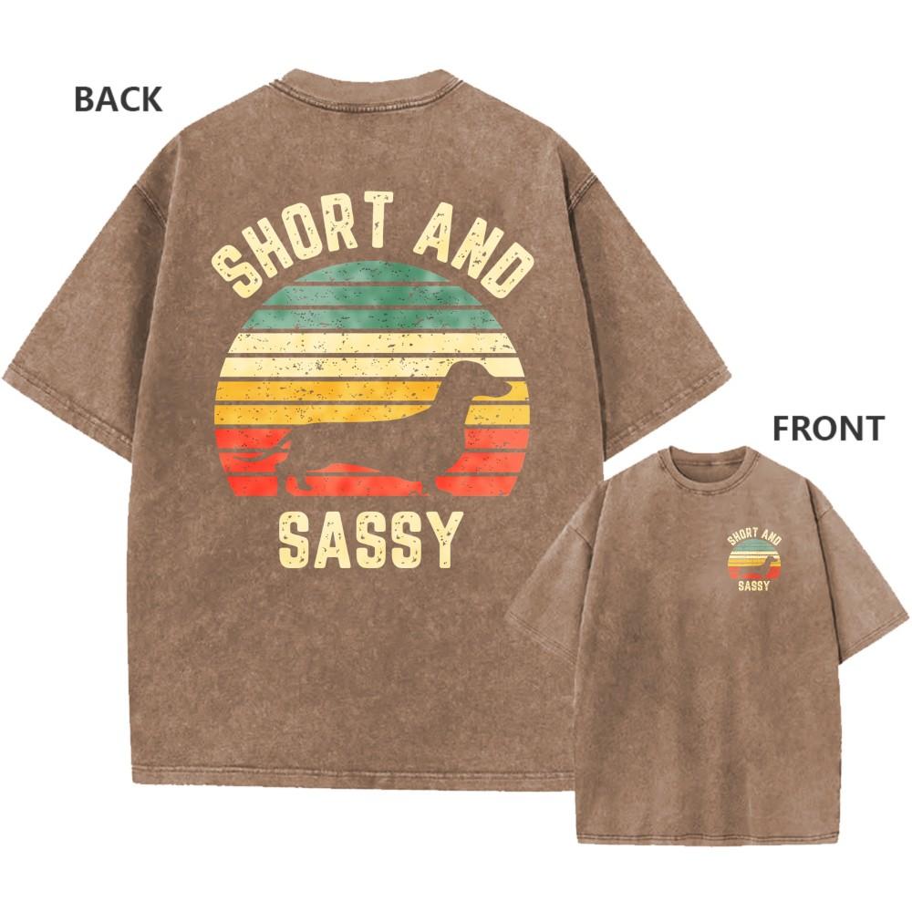 Vintage Oversized Washed Tee Short And Sassy Dachshund Sunset Print TShirt XL