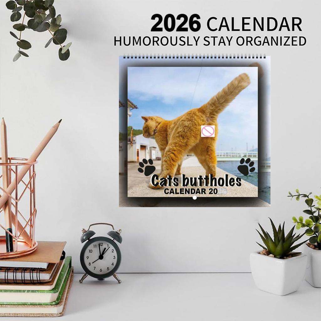 2026 Cute Cats Hanging Calendar Cat Ball Calendar For Cat Lovers 12 Months Funny Cat Moments Hangable Wall Calendar