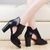 Fish Mouth High-heeled Sandals Women's Spring New Breathable Hollowed-out Thick-heeled Fashion Sandals