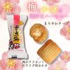 Izaki Shoten Rice Crackers with Cheese and Plum Blossoms (200g, 2-pack)