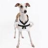 Creative Martial Arts Costume For Small Dog Cats Comfortable Breathable Fabric Easy Wear Funny Pet Halloween Outfit