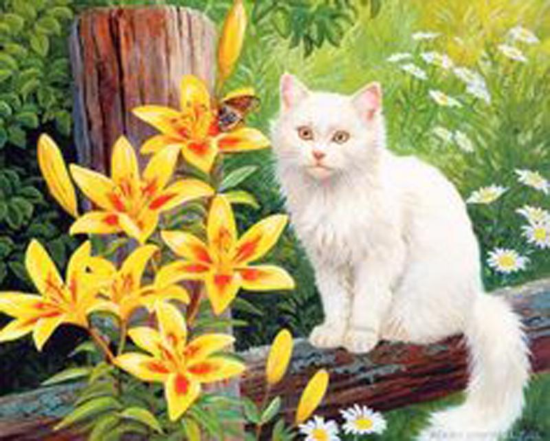 

Алмазная картина Животное Алмазная картина Полная вышивка крестом Алмазная картина Полная дрель 40*50cm