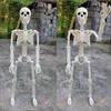40 CM Halloweenowy Ludzki Szkielet Plastikowy Model Kości Kreatywna Figurka Ciała Zewnętrzna Wewnętrzna