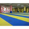 Xiaobing Interlocking Taekwondo & Combat Sports Mat