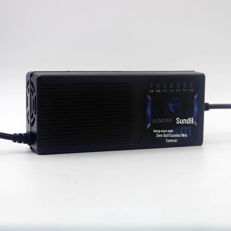 48V/60V/72V Automatic Battery Disconnect Charger - 32A/35A/40A for Electric Vehicles, 60V Fast Charge