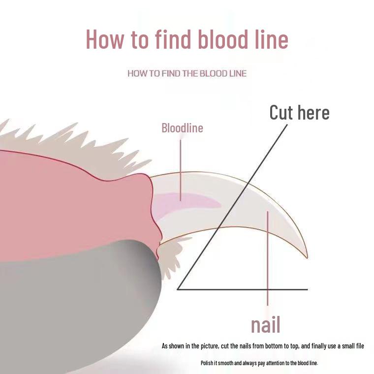 Cat-Specific Pet Nail Clippers - Sharp Dog & Kitten Clippers