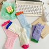 Xiaohongshu Same Summer Thin Mesh Breathable Cutout Socks Trendy Versatile Simple Contrasting Mid-Leg Socks