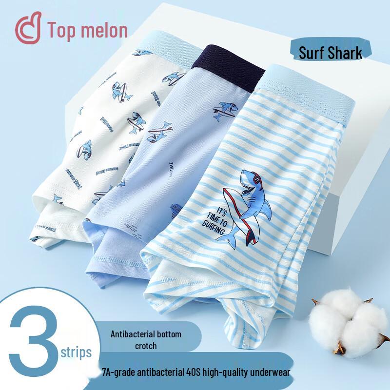 Dingguagua Boys  Antibacterial Boxer Briefs 150