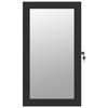 VidaXL Jewelry Cabinet with Mirror and LED Lighting Wall-Mounted Black 353230