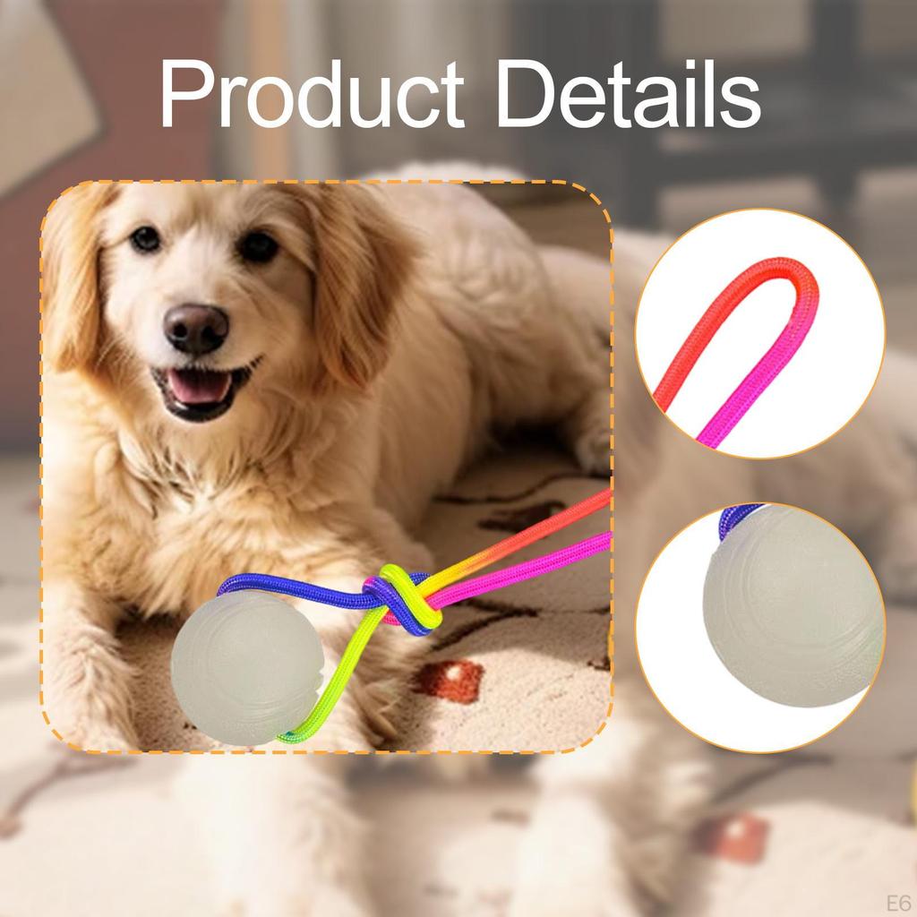 Dog Training Ball On Rope Toy Fit Small Medium Large Dogs, Soft, Exercise and Reward