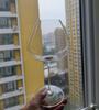 Burgundy Aroma Amplifier High-Stemmed Super Thin Red Wine Glass