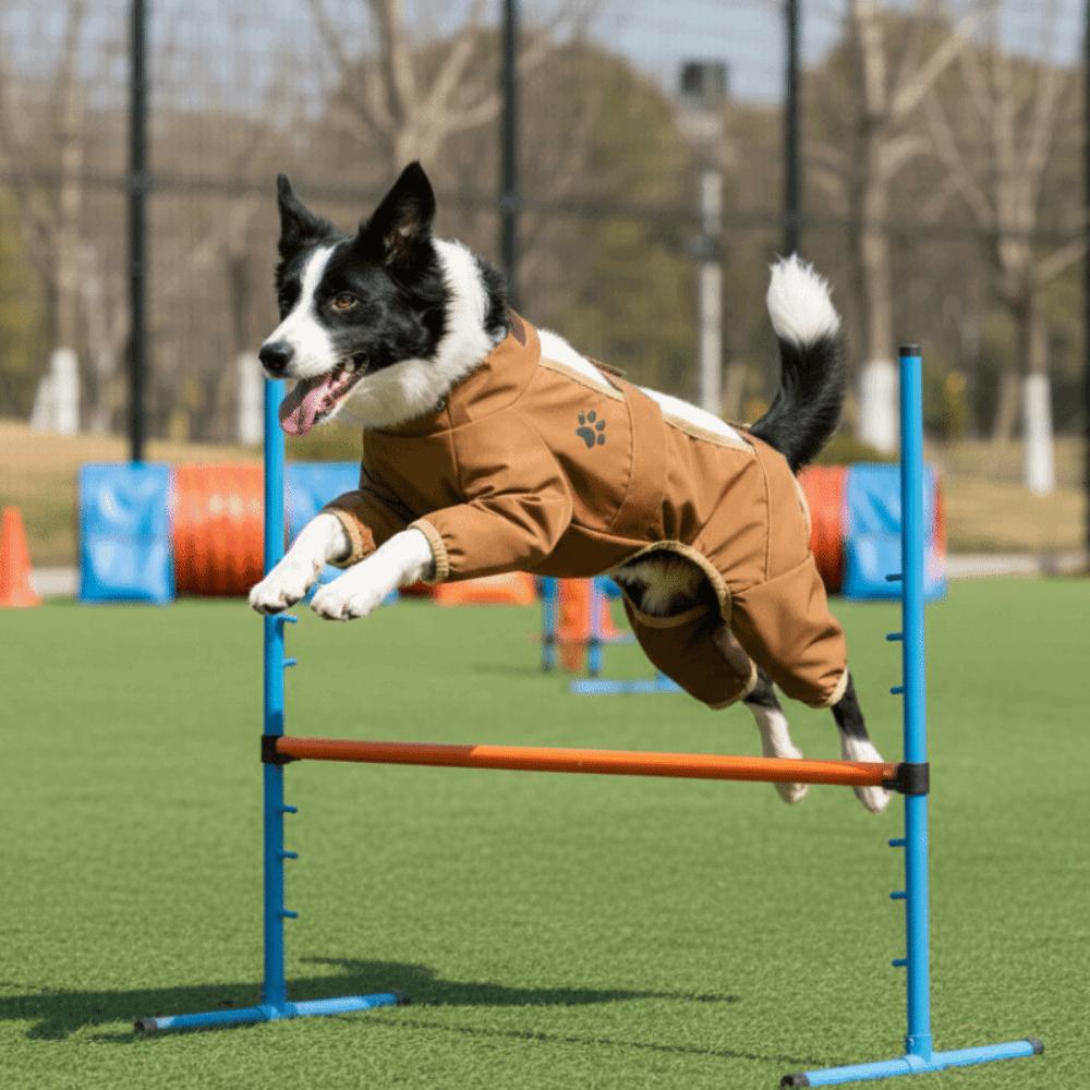 Breathable Dog Dust Pants Adjustable Waterproof Dog Boot Leggings Insect Proof Four-Legged Pants Protective Pants