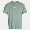 Men's Water Green T-shirt with a Crew Neck and Mountain Print