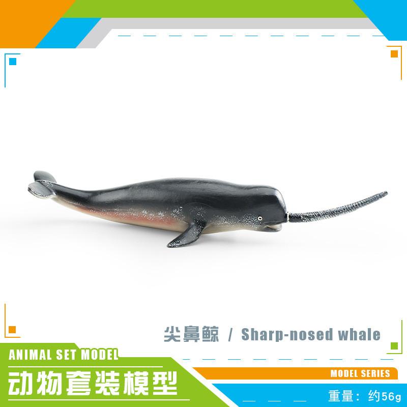 Realistic Ocean Animal Models Set Including Mythical Dragon Whale Shark And Sea Lion For Educational Play