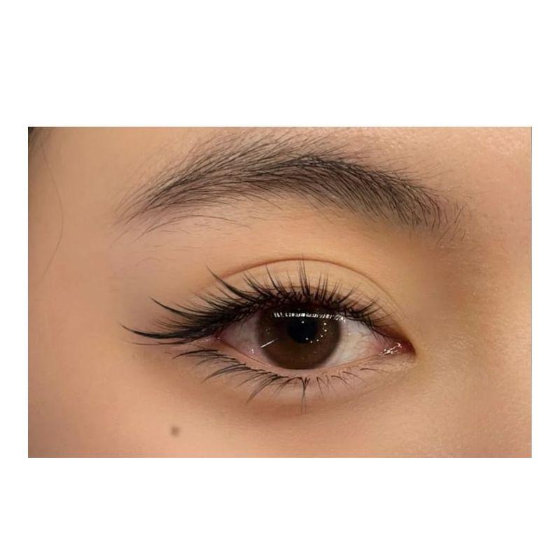Aimo - Natural Wispy Glue-Free Cluster False Eyelashes