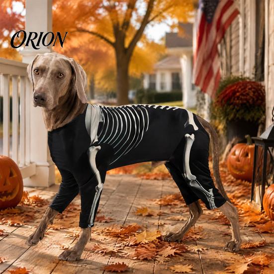 Comfortable Dog Outfit for Party Skeleton Costume, Print Four-legged Outfit, Spooky Funny Suit Cool Pullover Shirt Halloween Cosplay Costume