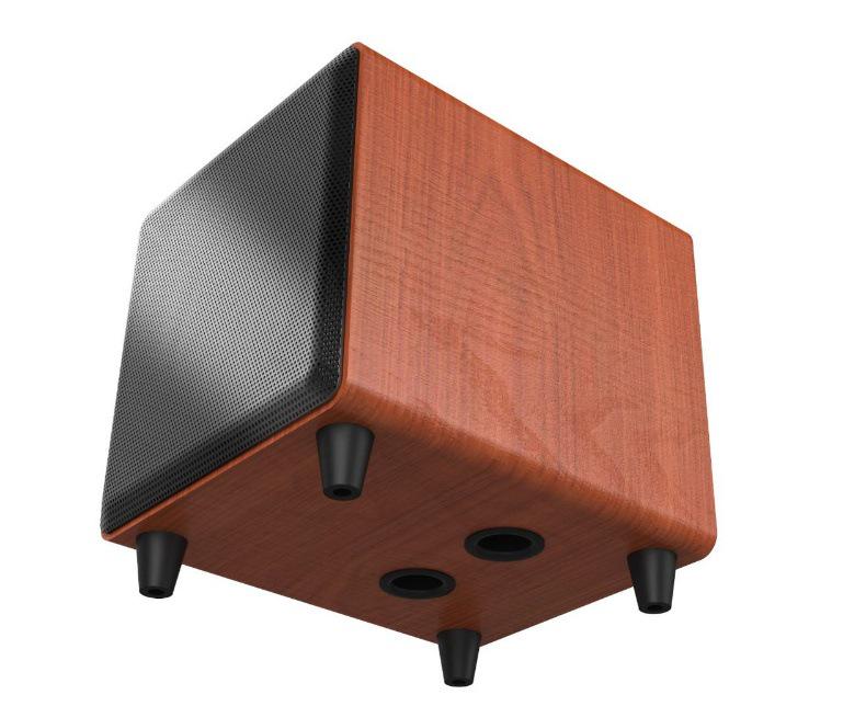 Tianlai TL-D10 10" Active Subwoofer for KTV, Conference Rooms, and Home Performance.