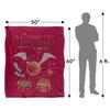 Harry Potter All I Want For Christmas Quidditch Blanket