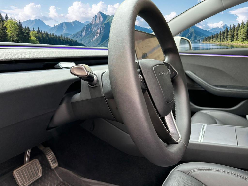 Tesla Model 3 Steering and Shift Control for Center Console – Contact Customer Service for Model X Steering Wheel
