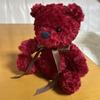 [USED] Red teddy bear