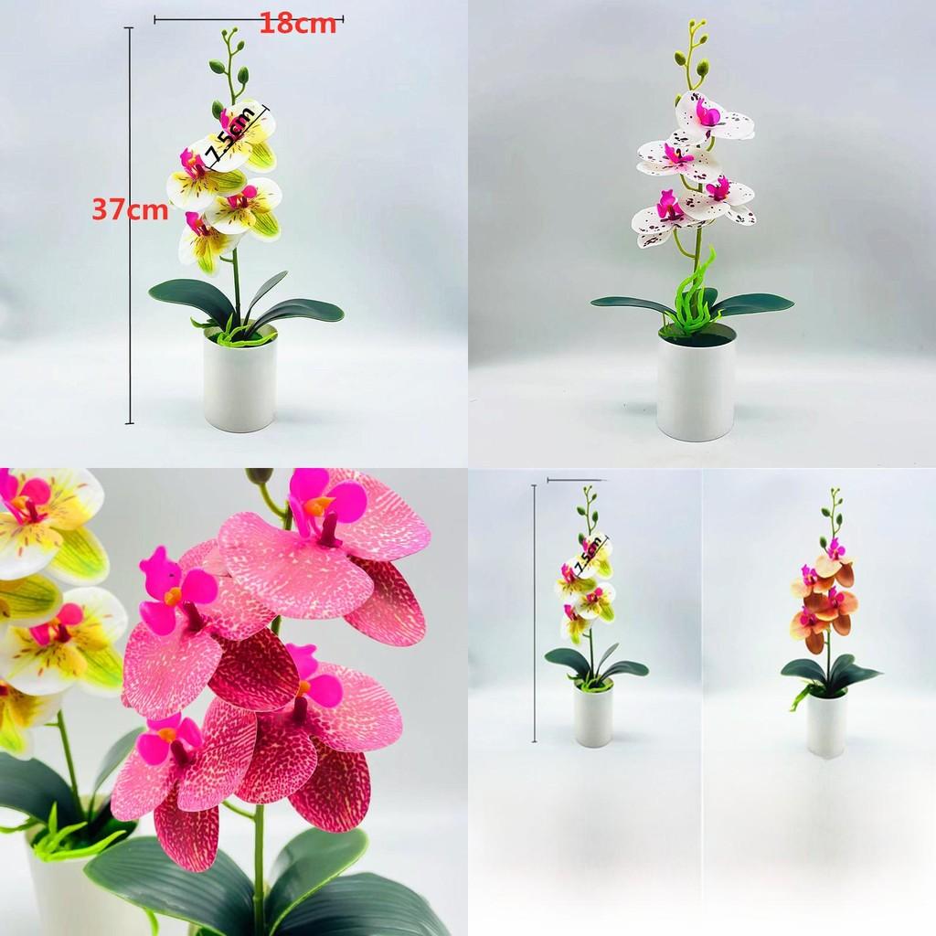 Fake Butterfly Orchid Bonsai With Pvc Material For Living Room Decor And Collectors