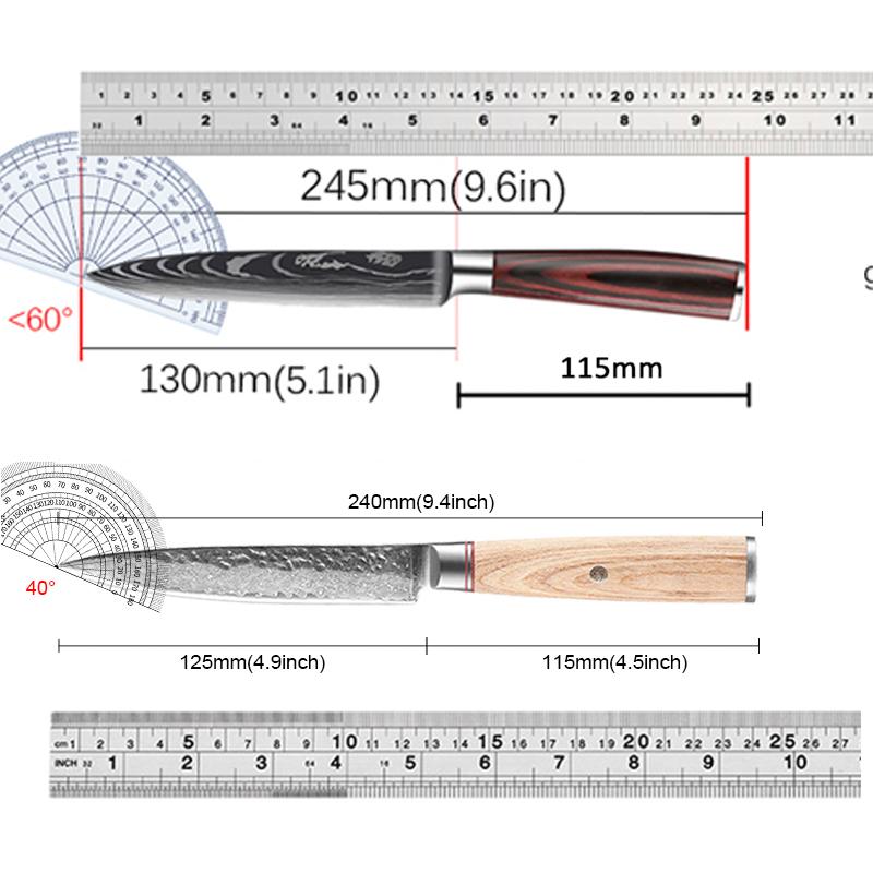 Fishing Fillet Knives Damascus Steel 5 Inch Boning Knife Japanese Kitchen Knife Sharp Forged Full Tang Cutting Wood Handle