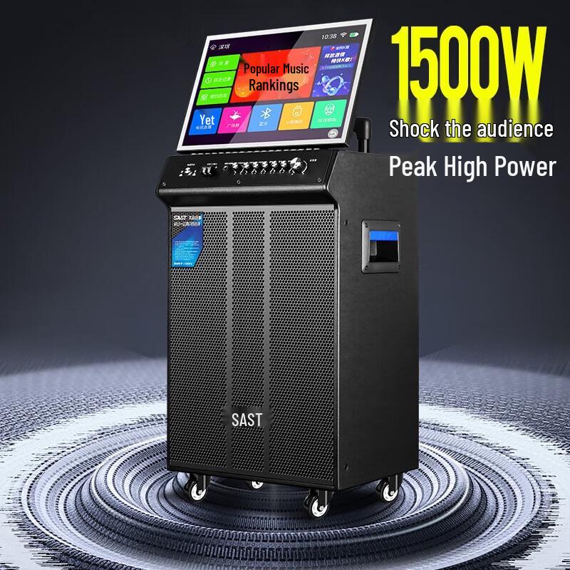 SAST WD-30 Portable Karaoke Machine with Display