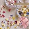 Materiale fiore secco per nail art misto squisito materiale fiore a cinque petali decorazione unghie floreale piccola gioielleria per unghie floreale