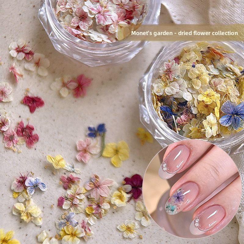 Materiale fiore secco per nail art misto squisito materiale fiore a cinque petali decorazione unghie floreale piccola gioielleria per unghie floreale