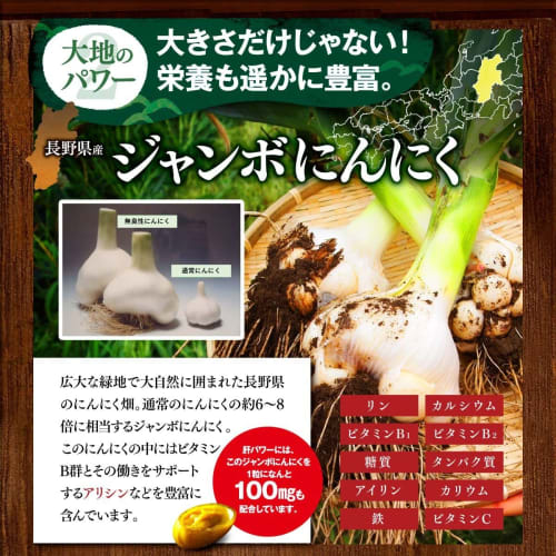 Stella Kampo Liver Power E+ (Oyster, Garlic, and Nanko Plum) (30 tablets x 2 bags)