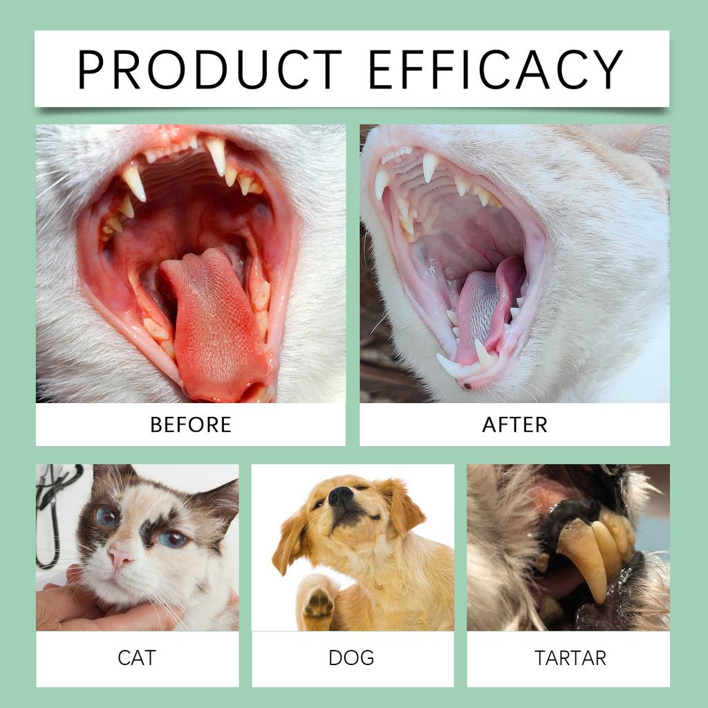 Haustier Erfrischendes Mundspray Erfrischt den Atem, Beseitigt Gerüche, Fördert die Interaktion, Ist mild und reizfrei, 120 ml