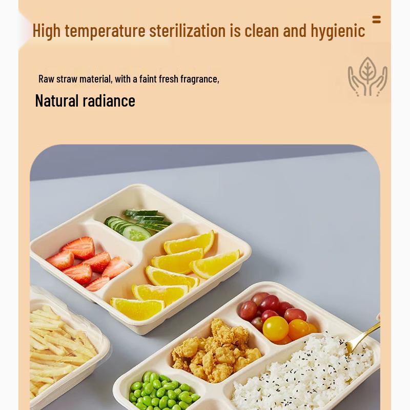 Sujie Degradable 4-Compartment Pulp Lunch Boxes with Lids