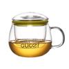 High Borosilicate Glass Tea Cup with Infuser