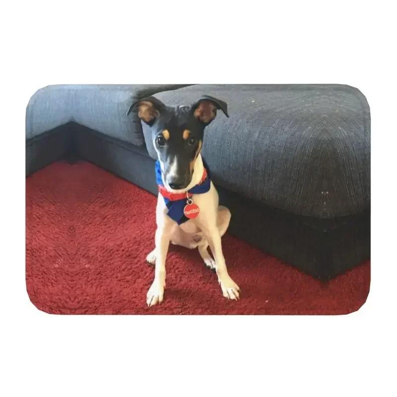 Van Gogh Starry Night Art Style Dog Living Room Door Mat Carpet Classic Painting Beret Dog Pattern Anti-slip Rug for Home Decor