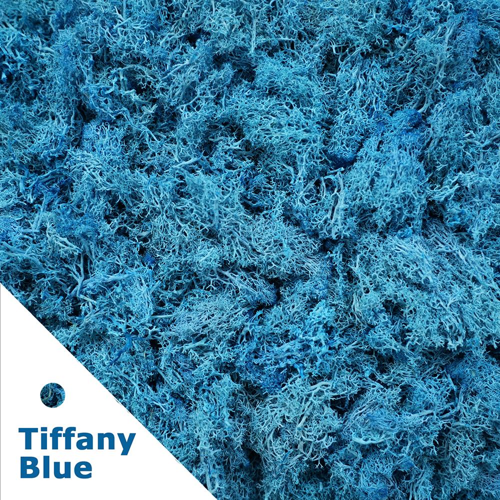 500g/1000g Mini Landscape Moss Grass Eternal Life Fake Grass Artificial Green Plants Home Garden Decoration DIY Crafts