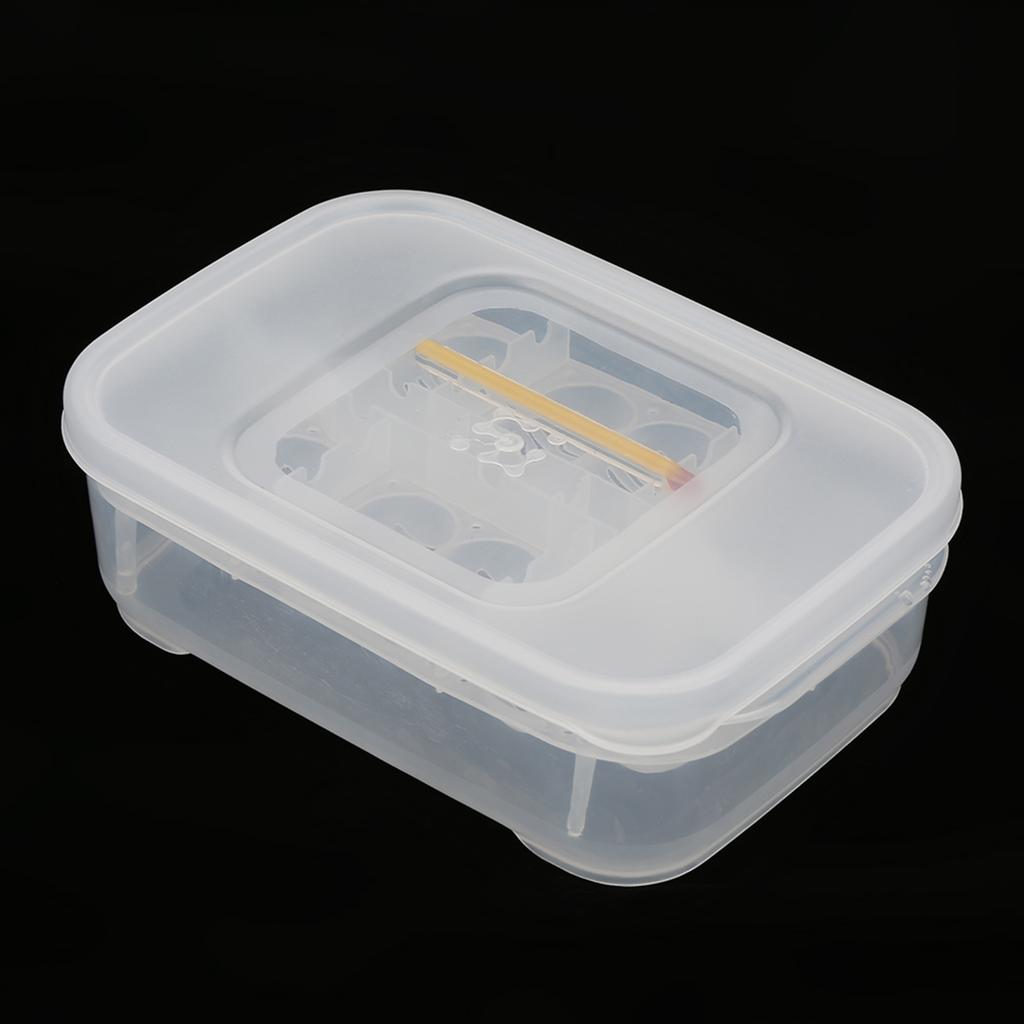 12 Fächer Schlangen Geckos Eidechsen Reptilien Eier Inkubator Tablett Schlüpfkasten mit Thermometer