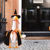 Halloween Witch Goose Outfit Witch Goose Costume Cloak with Witch Hat Outdoor