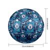 Chelsea FC Theme Soccer Ball Size 5 Soccer Ball Soft Touch Professional Training Football for Outdoor Sports
