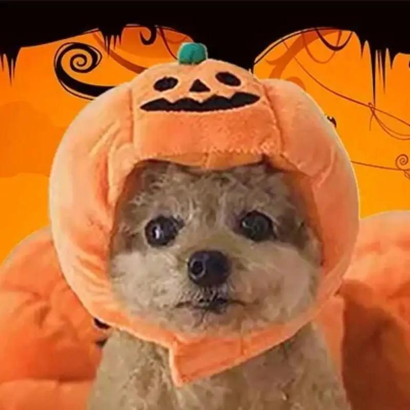 Halloween Pet Cat Dog Pumpkin Hat Halloween Ghost Day Decorative Supplies Small Medium And Large Dogs Teddy Fadou Headgear