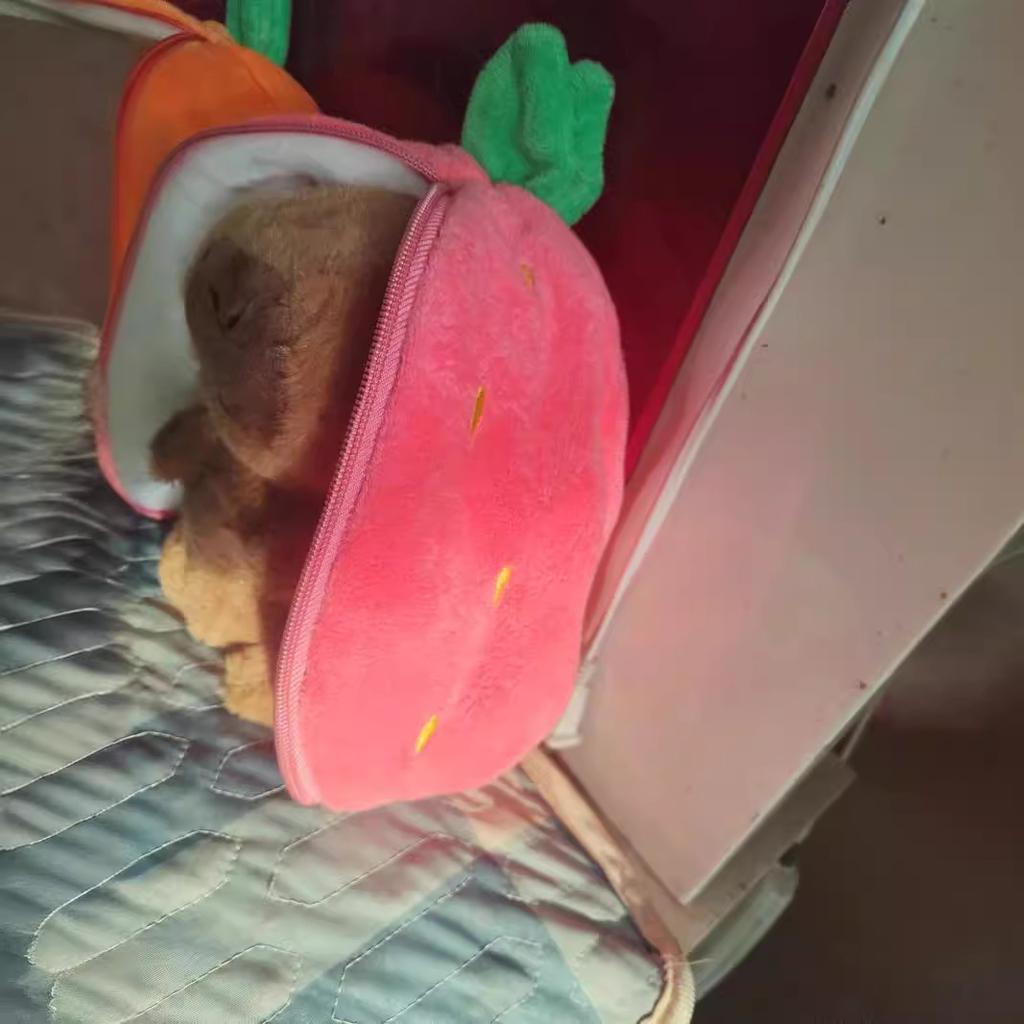 8-Inch Turnip Strawberry Kapibara Capybara Doll Plush Toy Scratching Machine Throwing