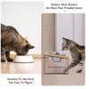 Elevated Cat Bowls 15° Tilted Raised Cat Food Bowls with Wooden Stand Anti Vomiting 2Stainless Steel Bowls for Cats and Puppy